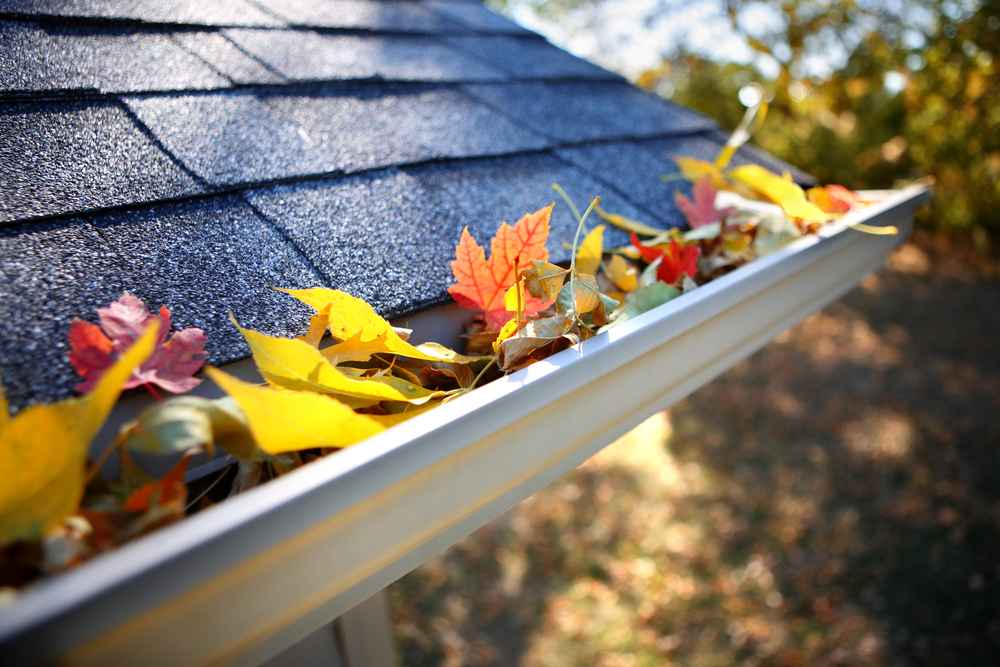 rain gutter filled with leaves