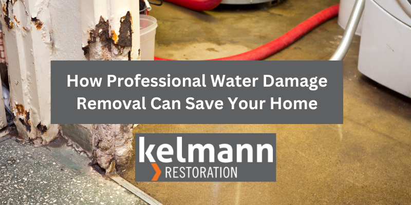 how professional water damage removal can save your home