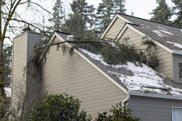 A tree branch fell due to storm damage, damaging the home's roof in Wauwatosa, WI