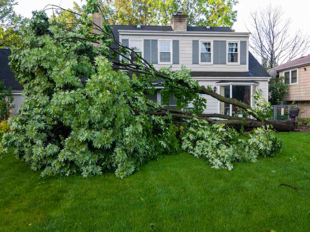 Post-flood home safety tips to prevent hazards and damage in Wauwatosa, WI
