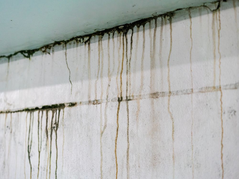 Home safety tips to follow after flood damage in Wauwatosa, WI
