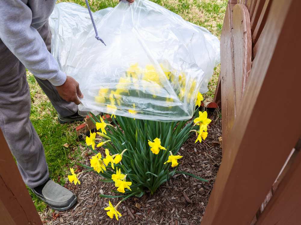 Prepare your outdoor space for spring storms to prevent damage in Wauwatosa, WI