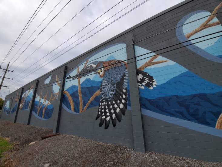 Outdoor Community Mural Depicting a Bird in Flight Against Mountain Scenery in New Berlin, WI