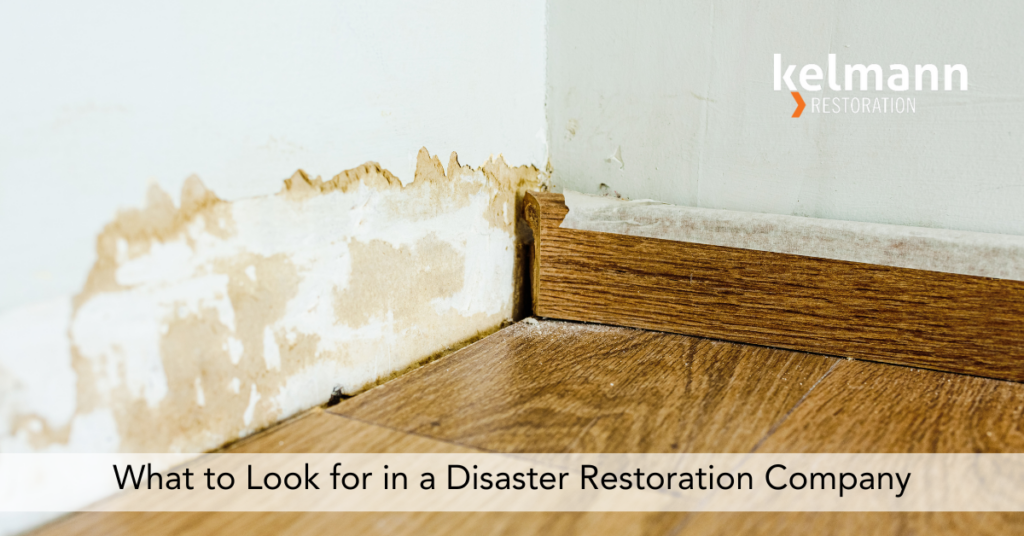 Photo by Joaquín Corbalán via Canva